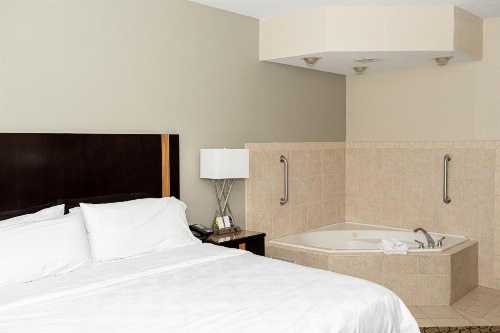 Holiday Inn Effingham image 16