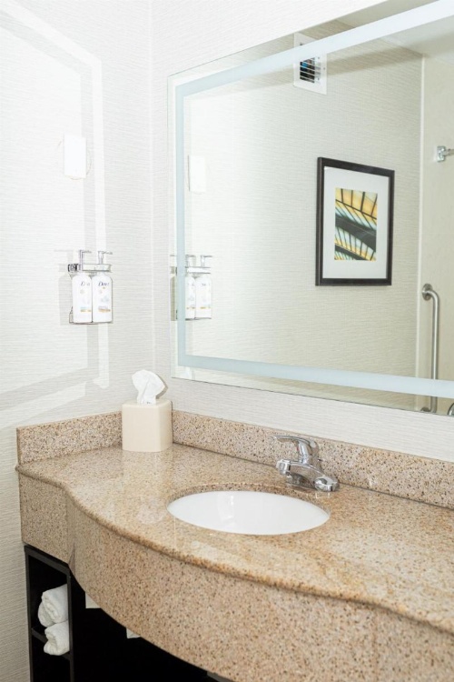 Holiday Inn Effingham image 36
