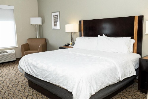 Holiday Inn Effingham image 38
