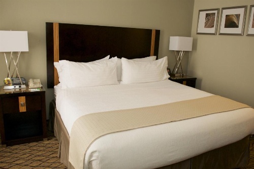 Holiday Inn Effingham image 9
